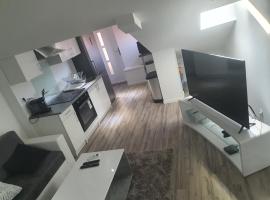 Aux portes de Lyon Jolie T3 Clim et PRIME Vidéo，位于日沃尔的酒店