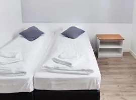 SOKÓŁ