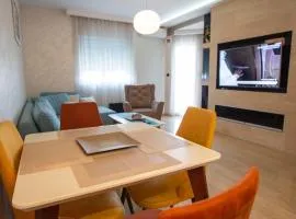 Luxury apartment in the city center