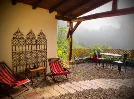 Gîte la canopée à Duras - Piscine