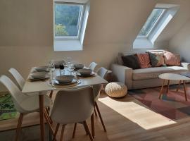 Apartmány Břachovna，位于Mikulov v Krušných Horách的酒店