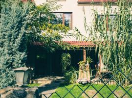 Pensiunea Dulce Ambient，位于Păuliş的酒店