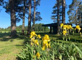 Villa Männituka Suvetuba，位于Kirikuküla的酒店