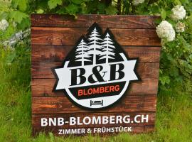 BnB-Blomberg，位于Ebnat的酒店