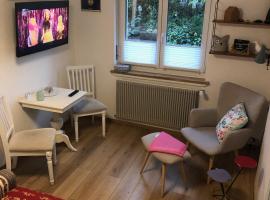 Chez Sven - Studio 'Le Petit'，位于Lohn-Ammannsegg的酒店