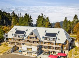 Berghaus Freiburg - Appartement Hotel auf dem Schauinsland，位于奥贝里德肖因斯兰德吊厢索道站附近的酒店