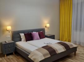 City Inn Premium Apartment 2，位于蒂米什瓦拉巴洛克式宫殿附近的酒店