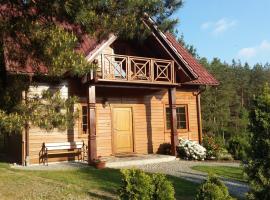 Kaszubskie Zacisze dom nad jeziorem, sauna, balia ogrodowa，位于Lipusz的酒店