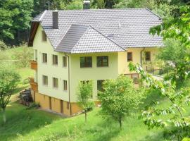 Ferienwohnung In der Ruhl，位于Schuttertal的酒店