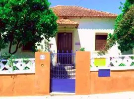 Lovely 4-Bed Cottage near Pedrogao Grande