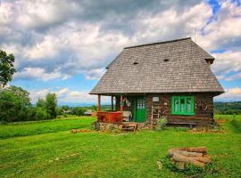 Complex Tradițional Casa din Vale Breb，位于Breb的酒店