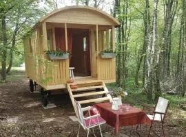 Lovely shepherds hut in chauminet