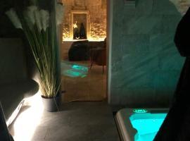 jaccuzi & spa des caves Stanislas，位于南希Faculty of Pharmacy of Nancy附近的酒店