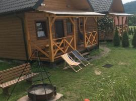 Domki Złota Rybka nad Jeziorem Solińskim jacuzzi，位于扎沃兹的酒店