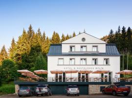 Hotel Orlík，位于梅图耶河畔特普利采的酒店