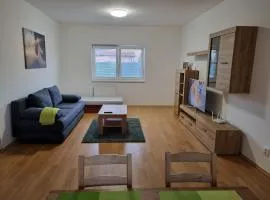 Apartmán 501