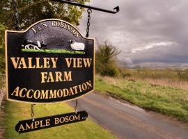 Valley View Farm Holiday Cottages，位于赫尔姆斯利的酒店