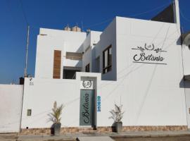 Betania，位于帕拉卡斯的酒店