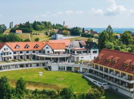 Hotel Garni am Seggauberg，位于莱布尼茨的酒店