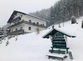 Alpenpension Gasthof，位于日腾的酒店