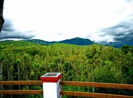 Memories of Malnad，位于奇克马格尔巴德拉野生动物保护区附近的酒店