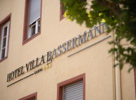 Villa Bassermann，位于施韦青根的酒店