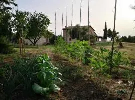 Casa rural restaurante Mas Del Rei