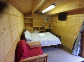 17b DB Airbnb，位于韦克斯福德的木屋