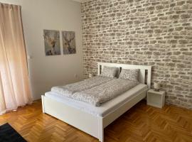 Apartman Sunny，位于松博尔的酒店