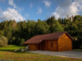 Les Jardins du Hérisson Chalet 1，位于Bonlieu的酒店