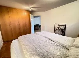 Cozy centrally located apartment in Reykjavik
