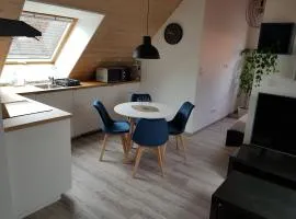Superbe appartement type T1 proche Strasbourg
