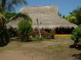 La Coralina azul