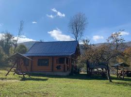 Cottage Лісовий，位于Bukovets的酒店