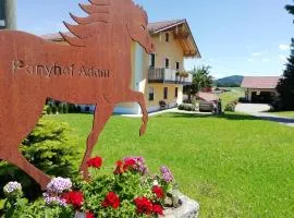 Ponyhof Adam Urlaub auf dem Bauernhof
