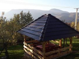Seoska kuća Rakić - Tara，位于Rastište的酒店