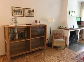 Apartament familiar - Els Encantats - Espot，位于埃斯波特的酒店