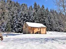 Wood Cabin by the River - for Nature Lovers，位于维蒂纳的酒店