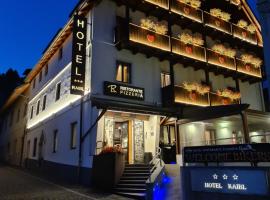 Hotel Raibl e Appartamenti，位于塔尔维西奥的酒店