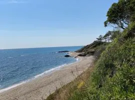 Maison pieds dans l eau avec piscine et clim