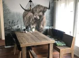 Vakantieverhuur Bienvenue