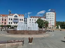 Tuzla Trg - Tuzla Square