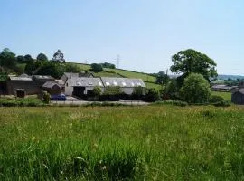 Lower Curscombe Barn - Beautiful 400-year-old threshing barn. Pet-friendly.