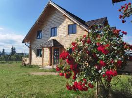 Cabanele FloriCrin - Cabana Mare，位于马里瑟尔的酒店