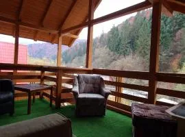 Pensiunea Aurora - Great Hostel Voineasa