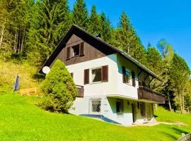 Wildbach Chalet Turrach