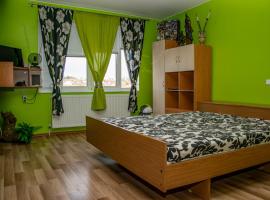 Vilhelmov’s apartament，位于卢科维特的公寓