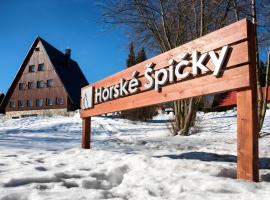 Garni Hotel Horské Špičky，位于捷克布杰约维采的酒店