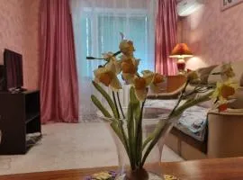 2комн апартаменты на ул.софиевской