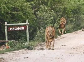 Masodini Game Lodge